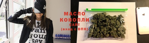 индика Заволжск