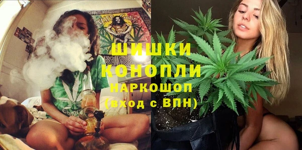 индика Заволжск