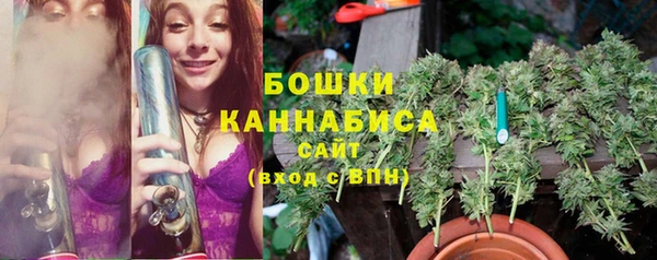 индика Заволжск