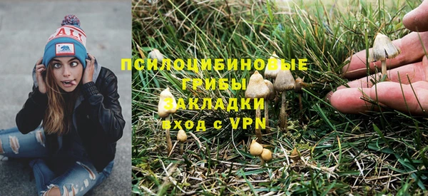 индика Заволжск