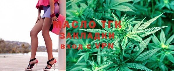 индика Заволжск