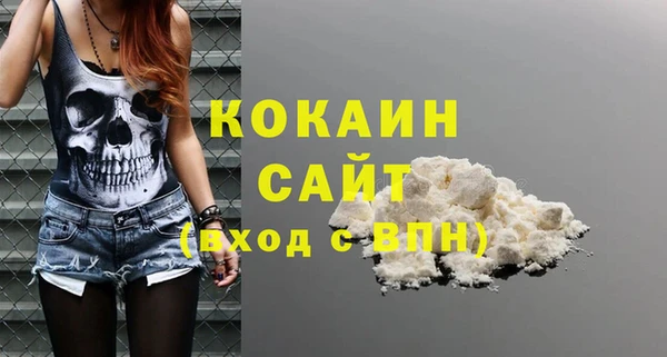 индика Заволжск